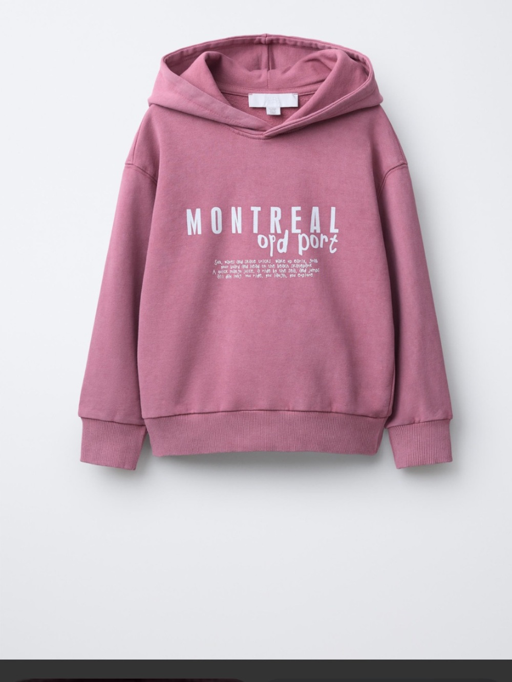 Boys Zara Pink Slogan Print Hoodie NWT